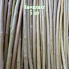 Комплект 5шт / Черенки Ивы плакучей
